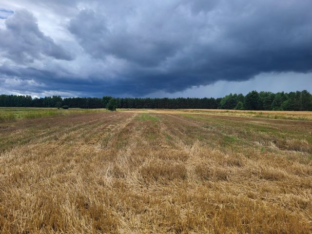 Działka rolna Magonie. Zdjęcie 1