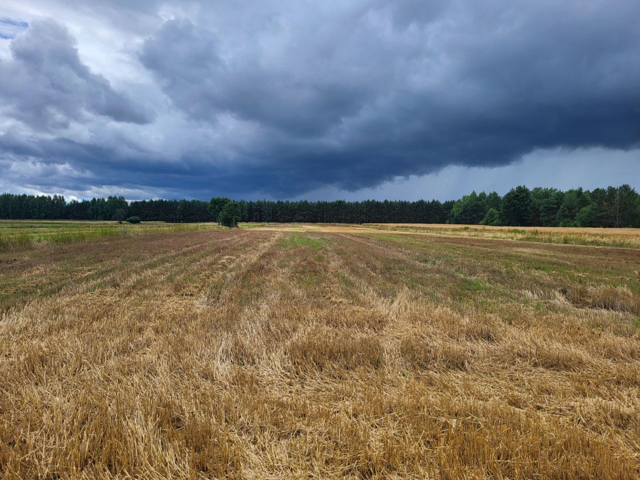 Działka rolna Magonie