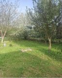 Działka rod Będzin Górki Małobądzkie. Zdjęcie 1