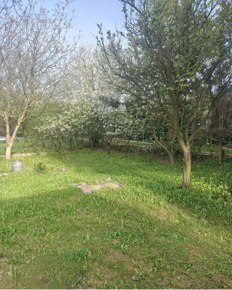 Działka rod Będzin Górki Małobądzkie. Zdjęcie 2