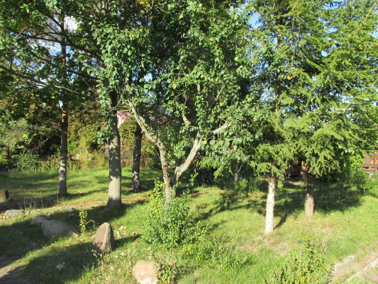 Działka rod Białystok Dojlidy. Zdjęcie 6