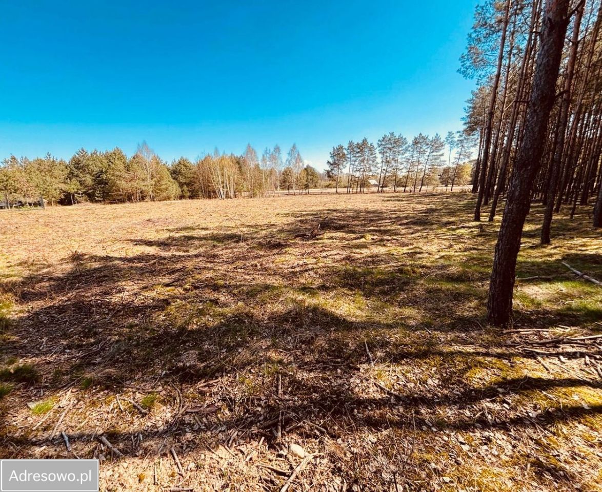 Działka budowlana Ostrów Mazowiecka, ul. Romualda Traugutta. Zdjęcie 10