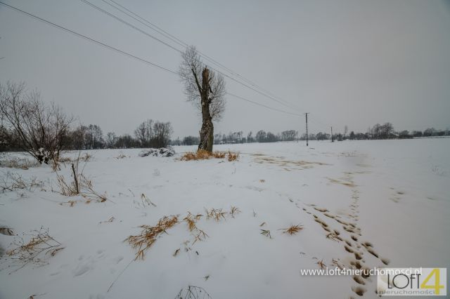 gospodarstwo, 4 pokoje Brzezówka. Zdjęcie 6