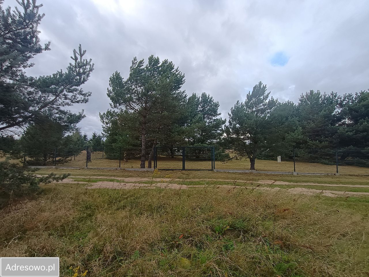 Działka rekreacyjna Drzonowo. Zdjęcie 16