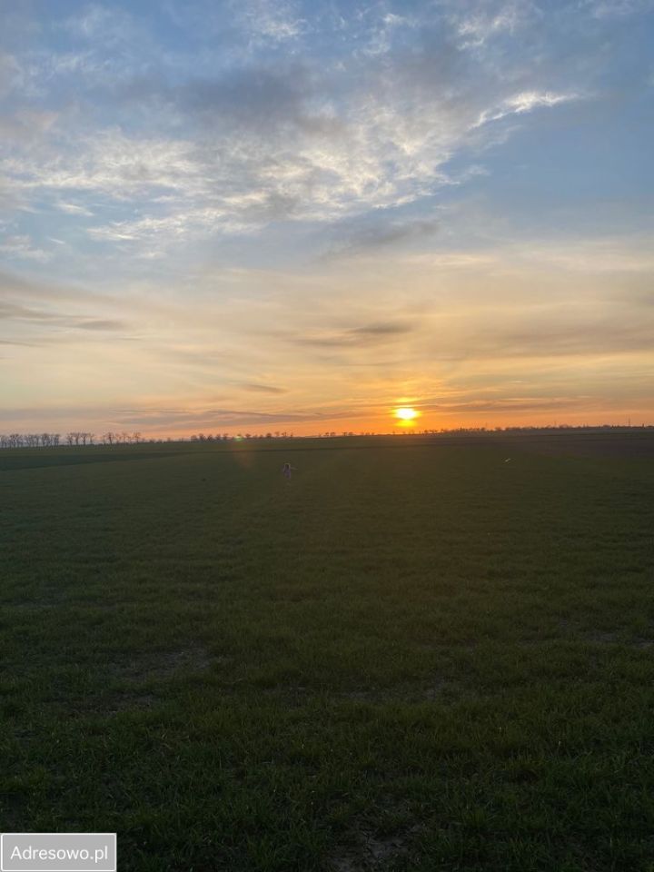 Działka rolno-budowlana Tomkowa. Zdjęcie 2