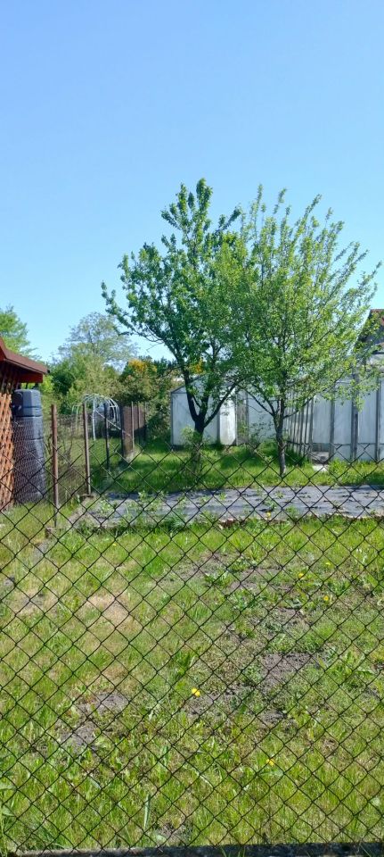 Działka rod Zaborze Borowiec, ul. Tatarska Grobel. Zdjęcie 6