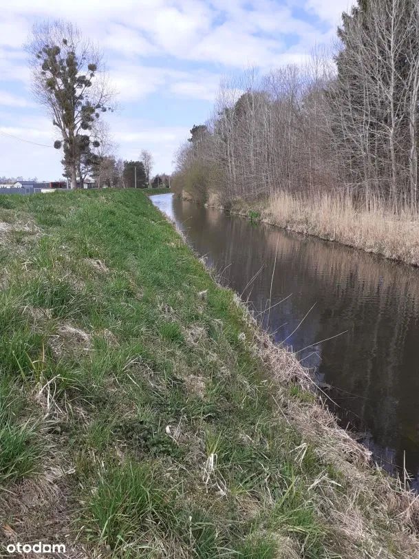 Działka rekreacyjna Ostrowo, ul. Irysowa. Zdjęcie 10