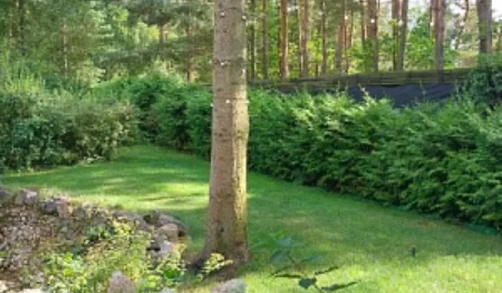 Działka rekreacyjna Cieksyn