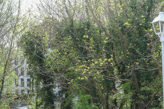 Mieszkanie 3-pokojowe Dziwnów. Zdjęcie 21