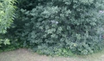 Działka rekreacyjna Brzemiona