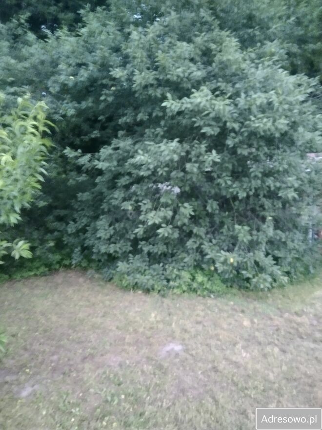 Działka rekreacyjna Brzemiona. Zdjęcie 2