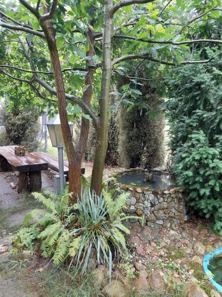 gospodarstwo, 7 pokoi Łazisko Brzezina. Zdjęcie 23