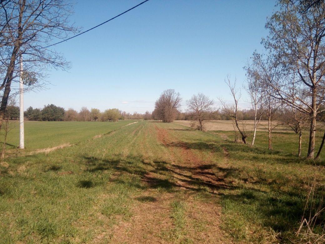 Działka rolno-budowlana Przęsławice. Zdjęcie 8