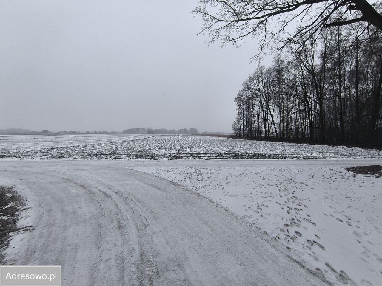 Działka budowlana Malanów. Zdjęcie 7