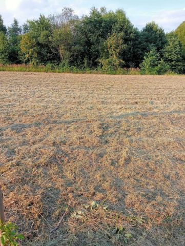 Działka rolno-budowlana Zalas, ul. Porfirowa. Zdjęcie 1