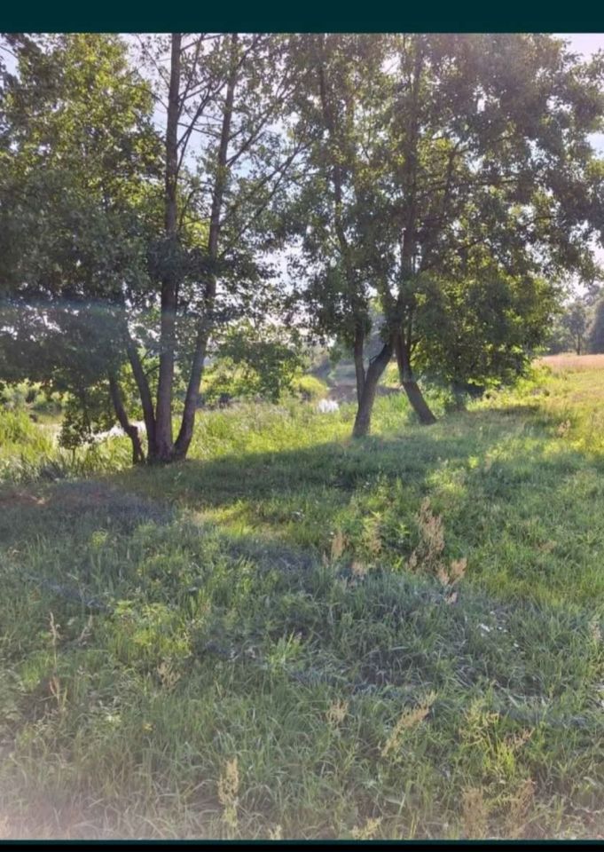 Działka Podsmardzewo. Zdjęcie 4