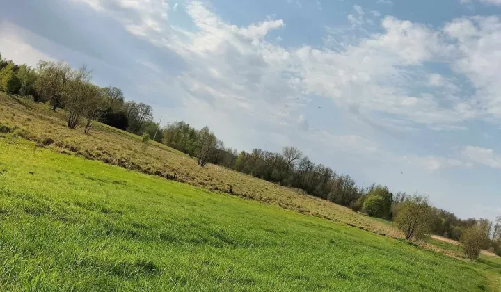 Działka rekreacyjna Orłowo