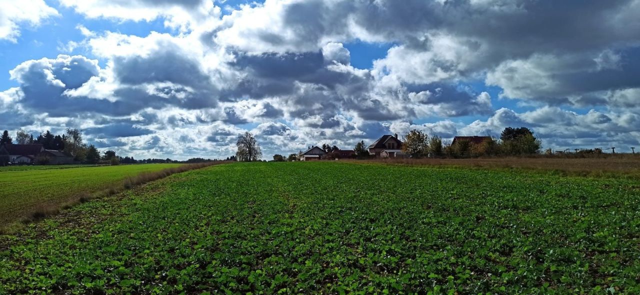Działka rolno-budowlana Ciechanki Łęczyńskie