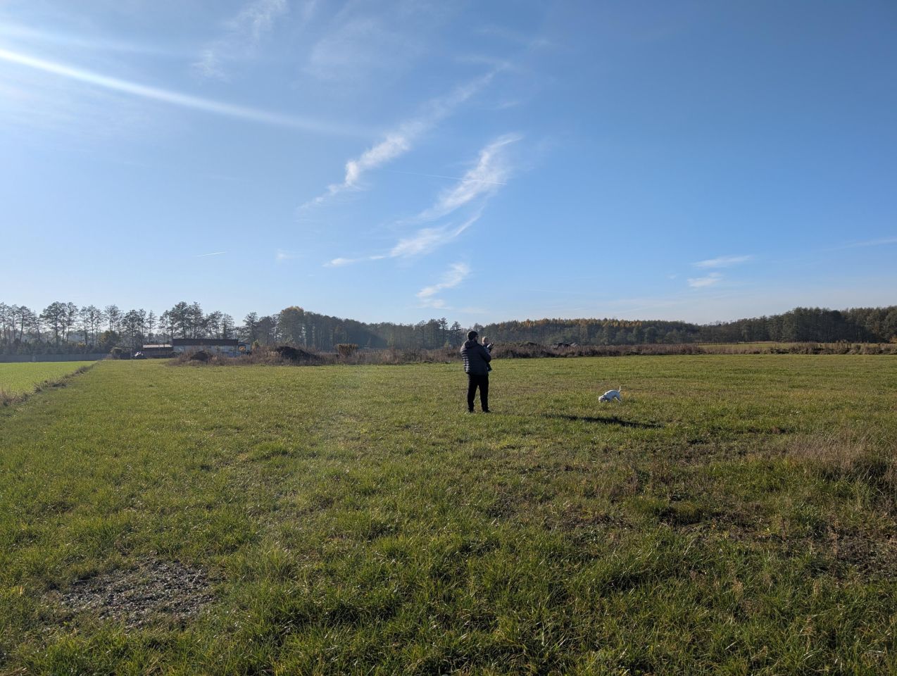 Działka rekreacyjna Kępa. Zdjęcie 6