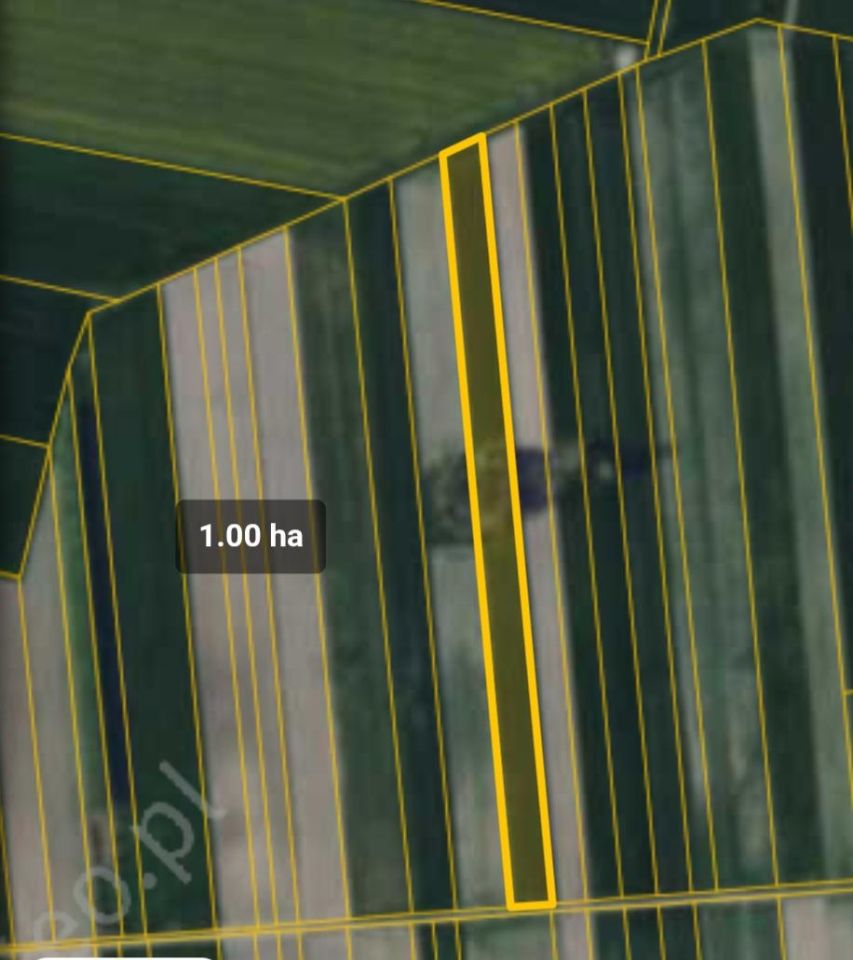 Działka rolna Bukowina. Zdjęcie 3