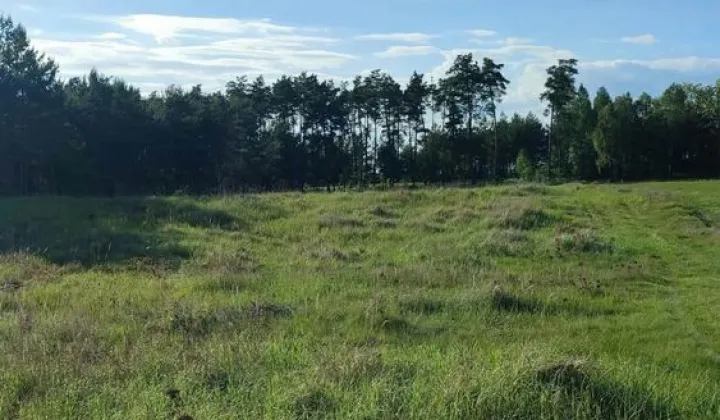 Działka siedliskowa Lewice