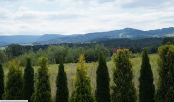 dom wolnostojący, 5 pokoi Nowy Sącz, ul. Mizgałów