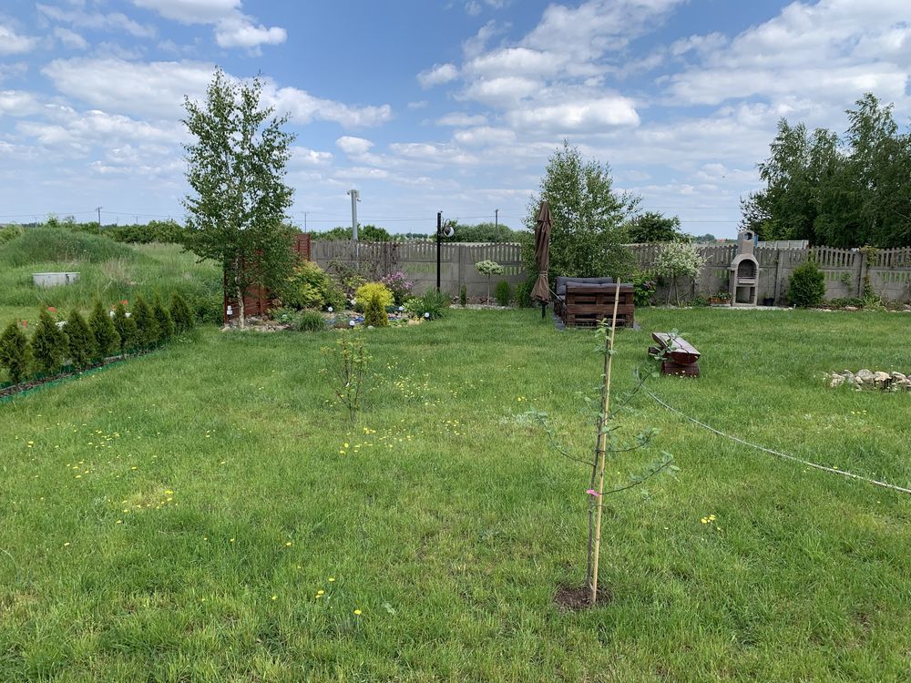 Działka budowlana Rgielsko