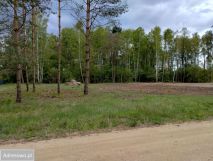 Działka budowlana Rogowo. Zdjęcie 3