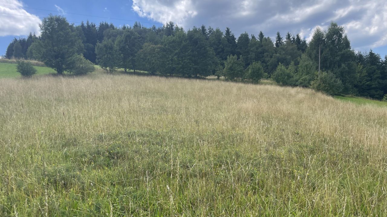 Działka rolna Stara Wieś Rola. Zdjęcie 4