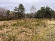 Działka budowlana Wilczanka. Zdjęcie 3