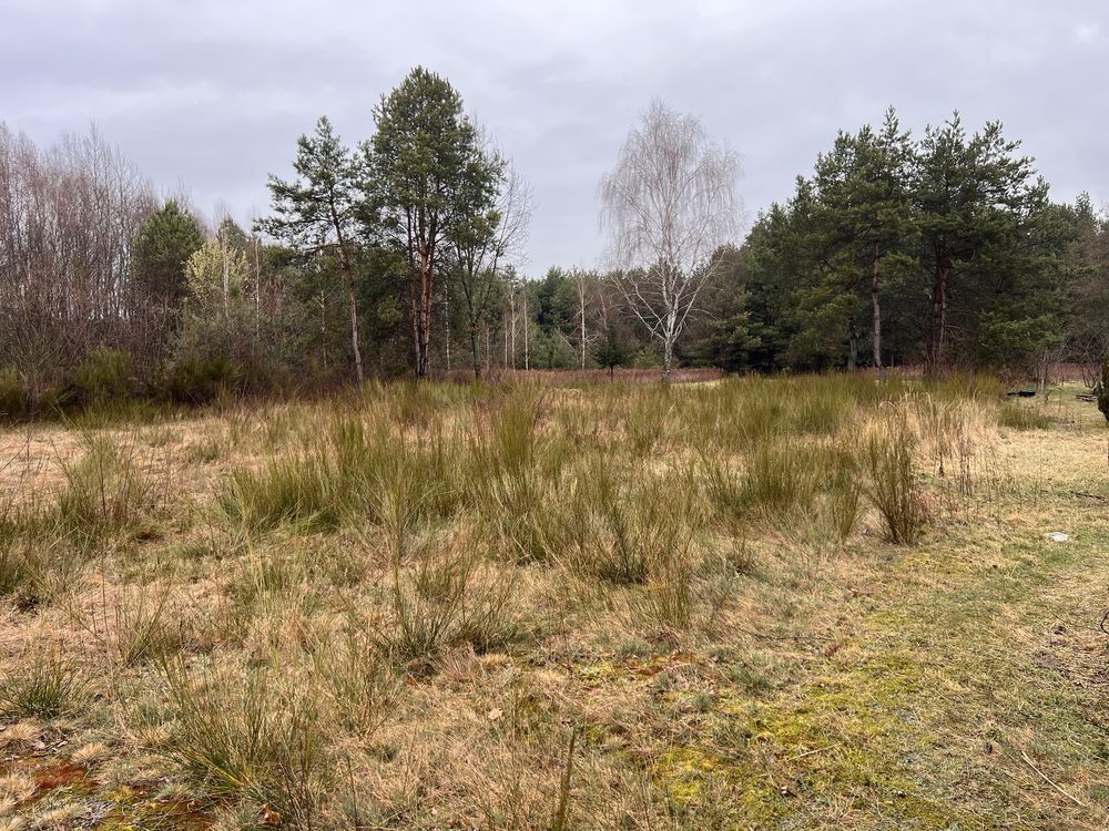 Działka budowlana Wilczanka. Zdjęcie 4