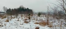 Działka budowlana Pisarzowice. Zdjęcie 3