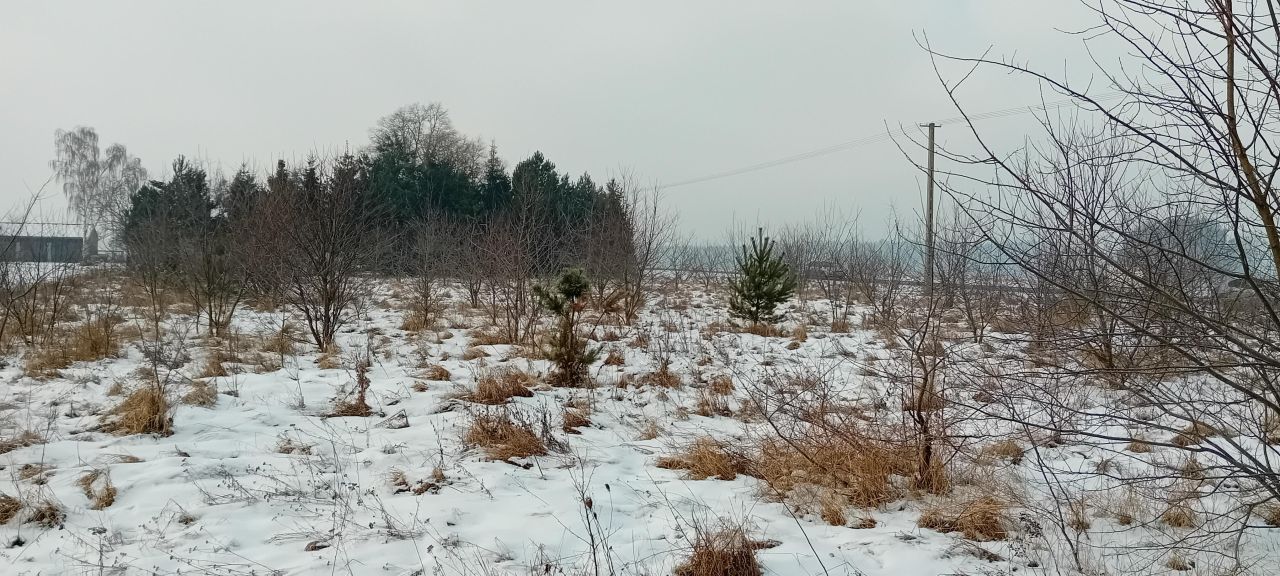 Działka budowlana Pisarzowice. Zdjęcie 4