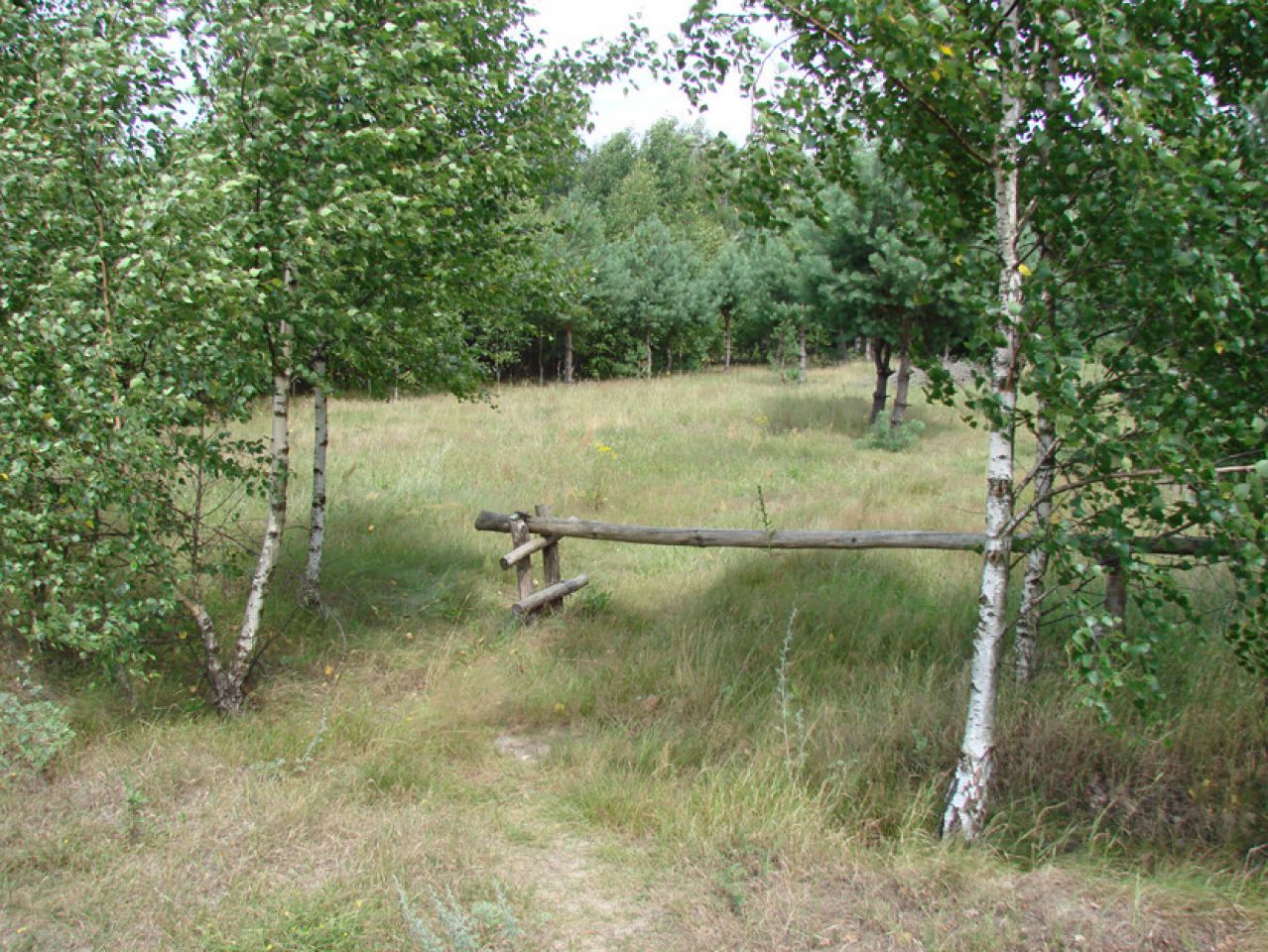 Działka siedliskowa Rędziny. Zdjęcie 9