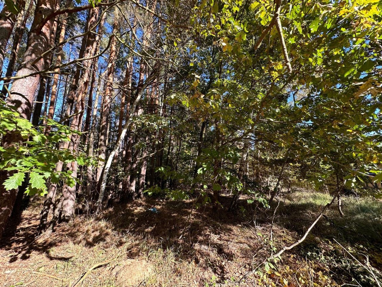 Działka rolno-budowlana Siedlec Duży, ul. Sportowa. Zdjęcie 2