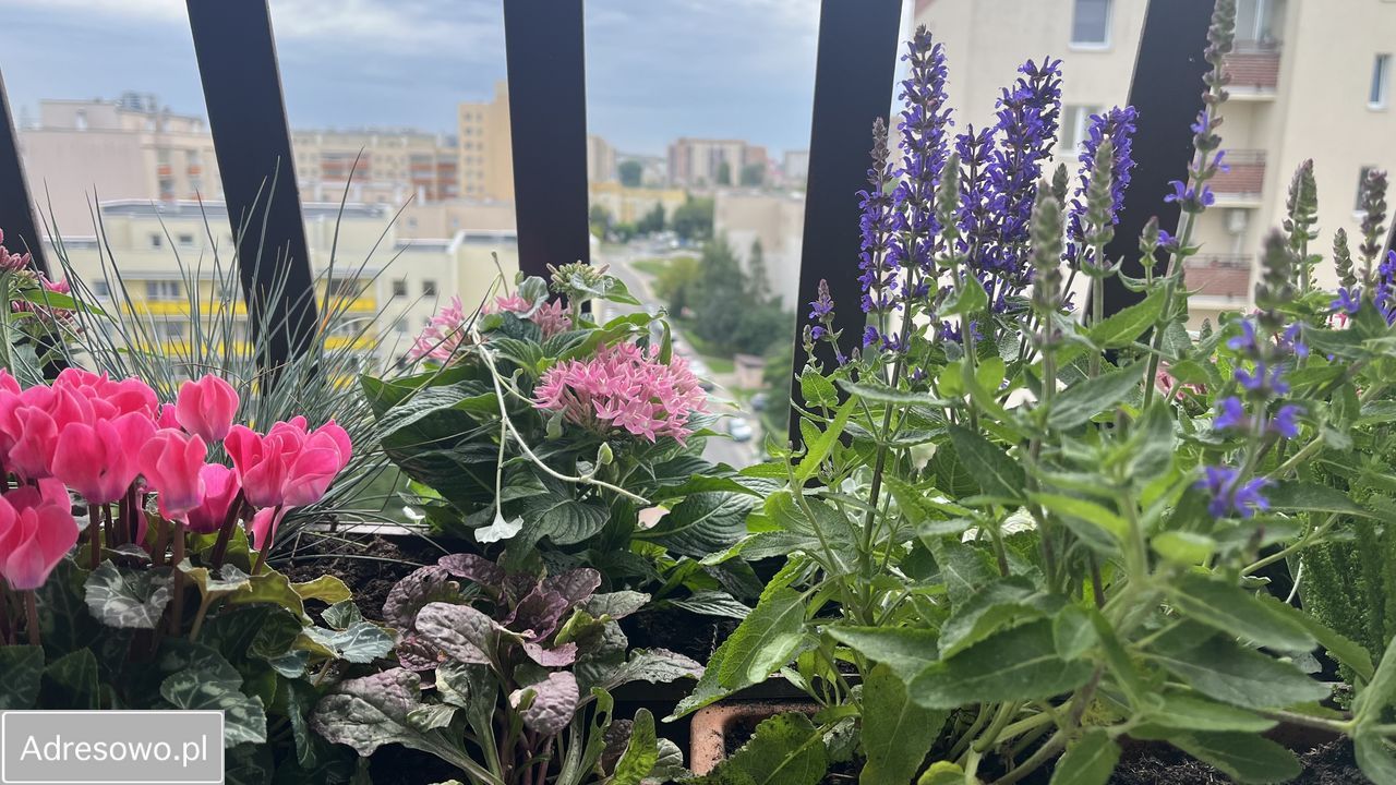 Mieszkanie 2-pokojowe Warszawa Gocław. Zdjęcie 7