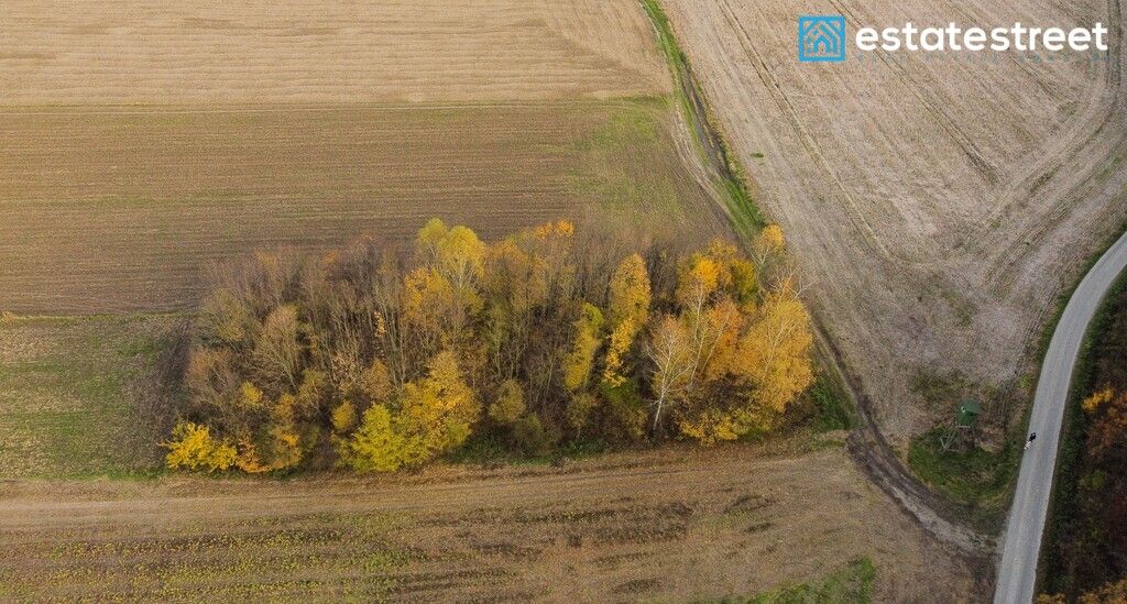Działka rolna Wybrzeże. Zdjęcie 3