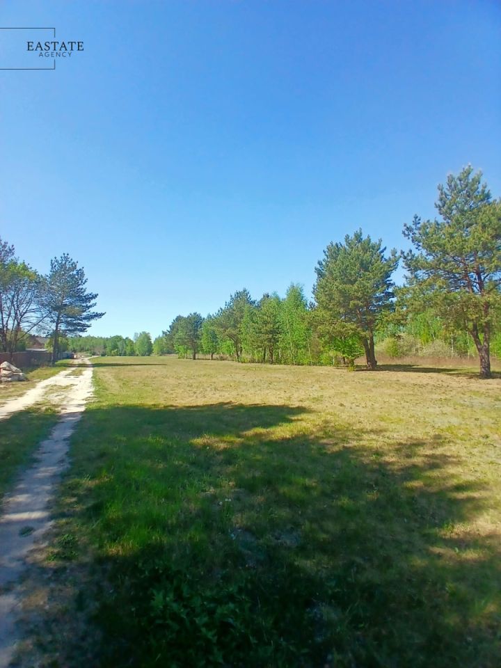 Działka budowlana Koryta, ul. Lipowa. Zdjęcie 7