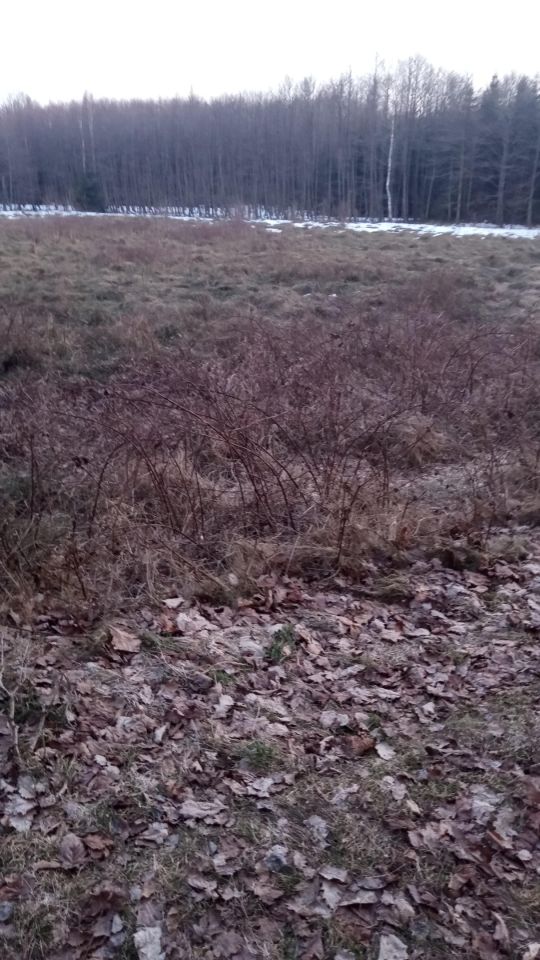 Działka budowlana Dziechno, Brak. Zdjęcie 2