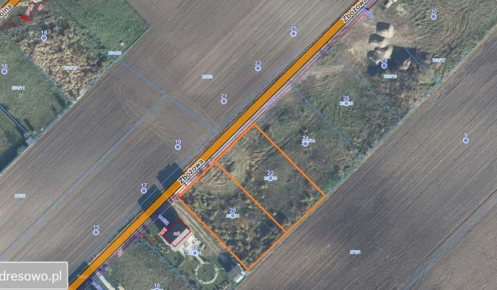 Działka budowlana Drużyna