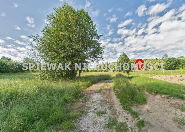 Działka budowlana Buczkowice, ul. Modrzewiowa. Zdjęcie 11