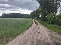 Działka budowlana Oleśnica. Zdjęcie 1