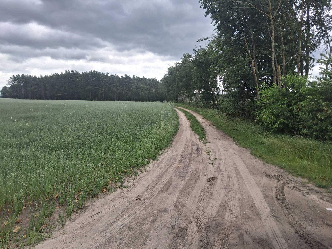 Działka budowlana Oleśnica. Zdjęcie 2