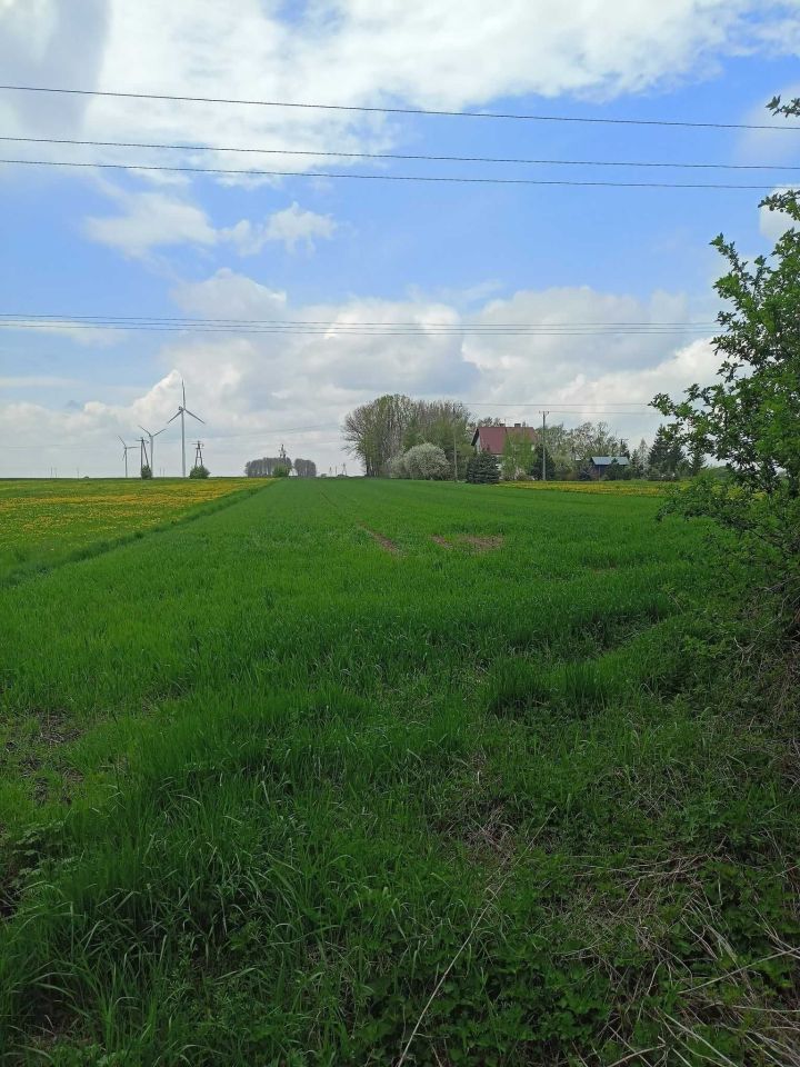 Działka inwestycyjna Bielsk Podlaski, ul. Wierzbowa. Zdjęcie 2