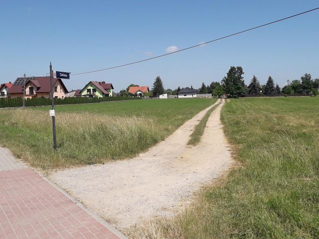 Działka rolno-budowlana Borek Wielki Dwór. Zdjęcie 1