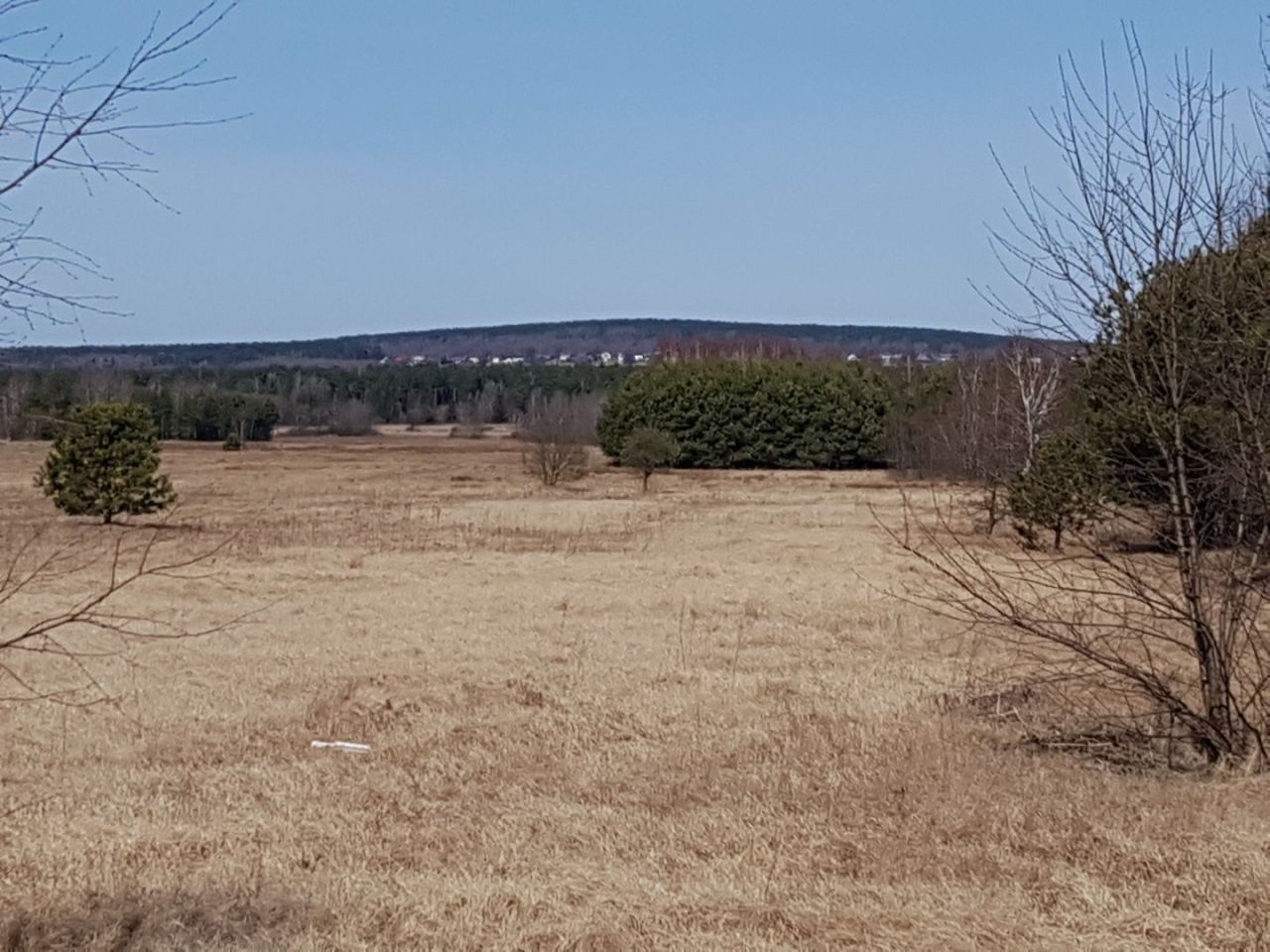 gospodarstwo Zaborowice. Zdjęcie 7