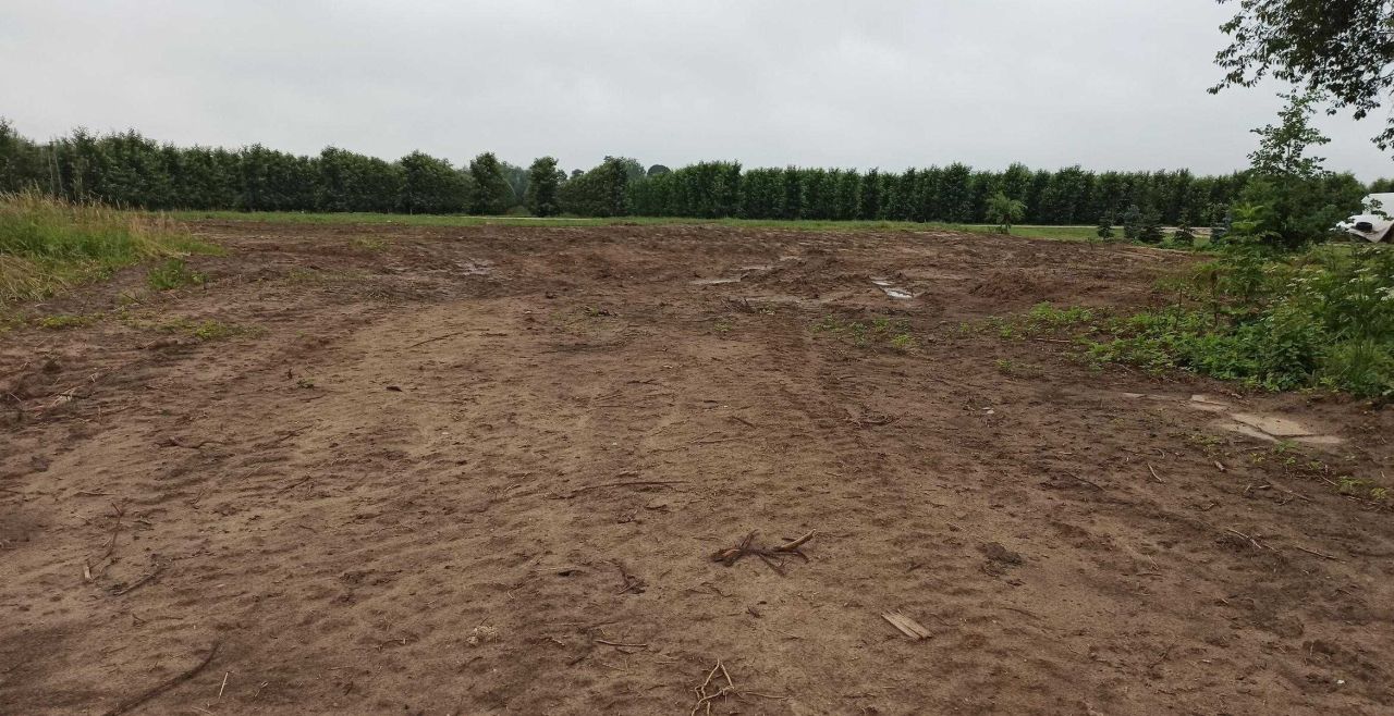 Działka siedliskowa Celejów. Zdjęcie 5