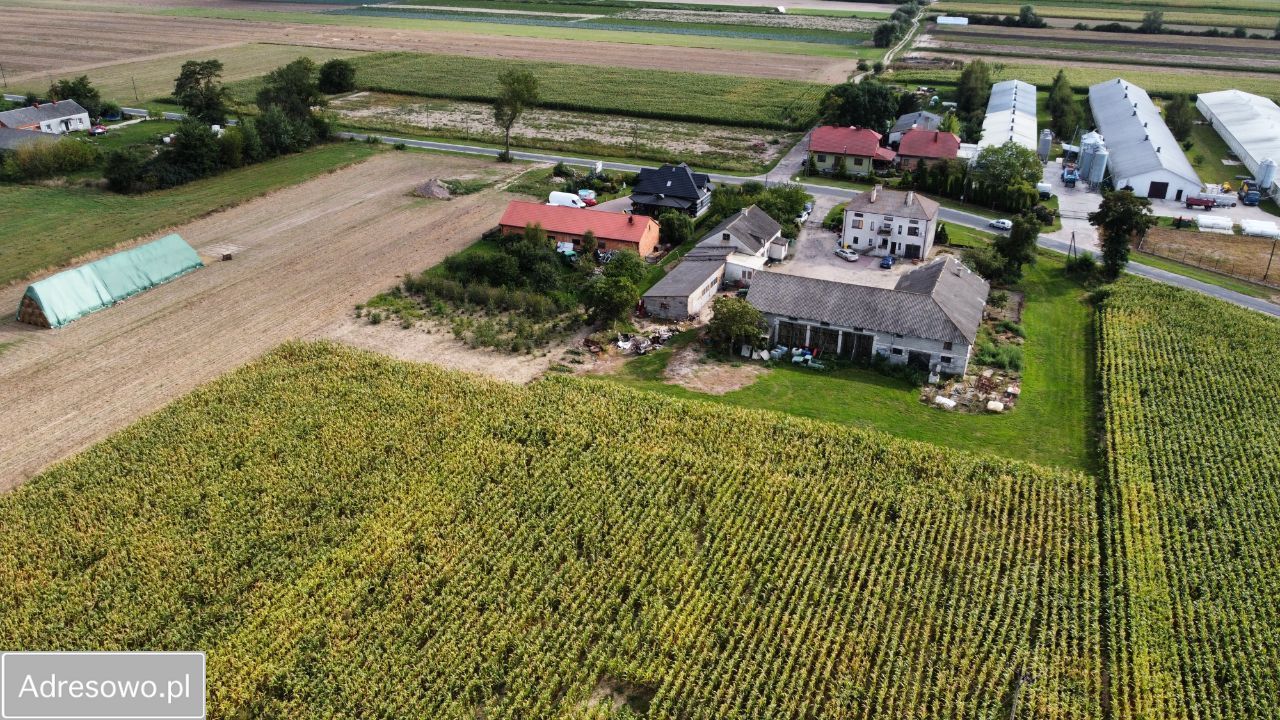 dom wolnostojący, 6 pokoi Lwówek. Zdjęcie 6