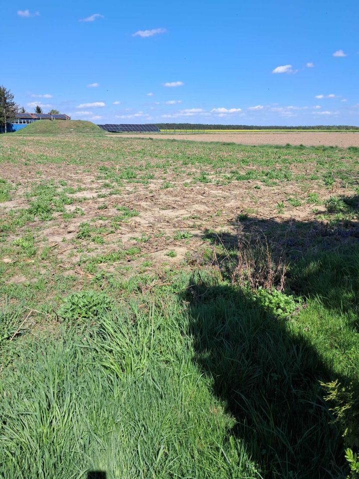 Działka budowlana Przyczyna Górna