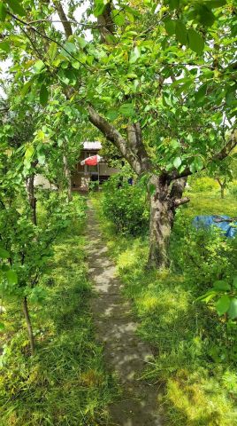 Działka rekreacyjna Toruń. Zdjęcie 1